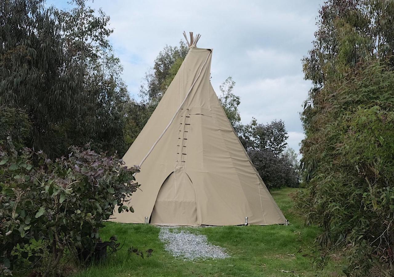 Gumtree Tipis 호텔 Bickington 외부 사진