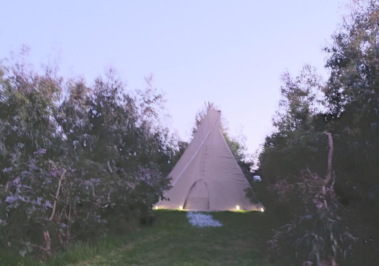 Gumtree Tipis 호텔 Bickington 외부 사진