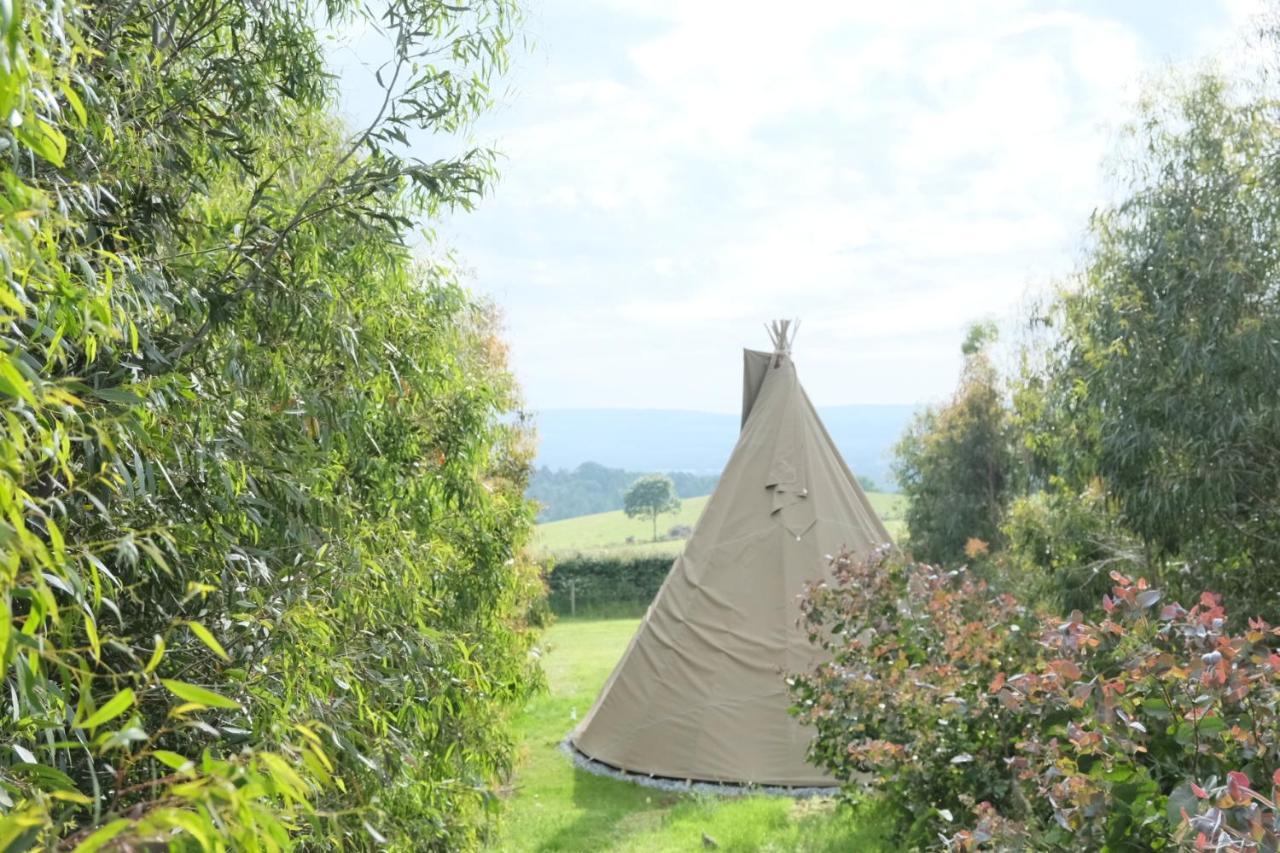 Gumtree Tipis 호텔 Bickington 외부 사진